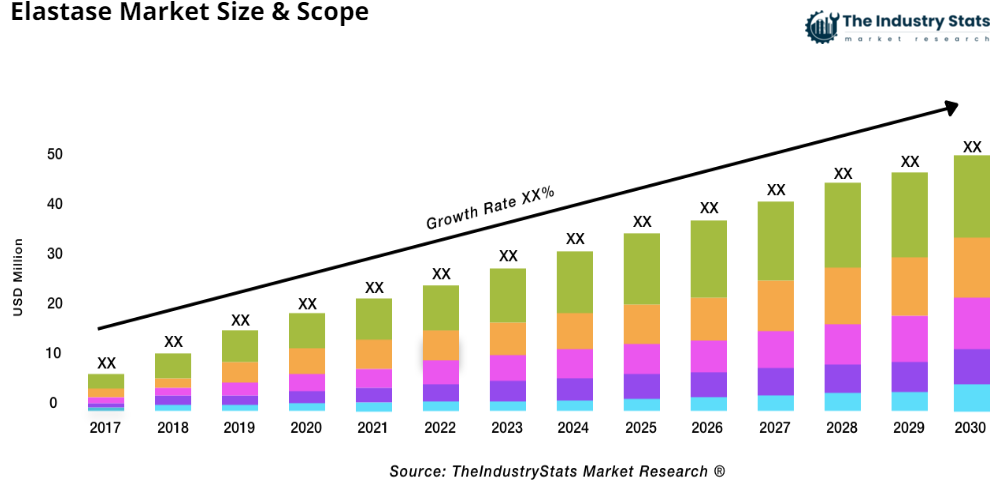 Elastase Status & Outlook